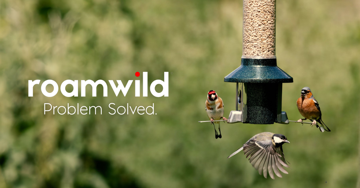 Probleem opgelost. – Roamwild