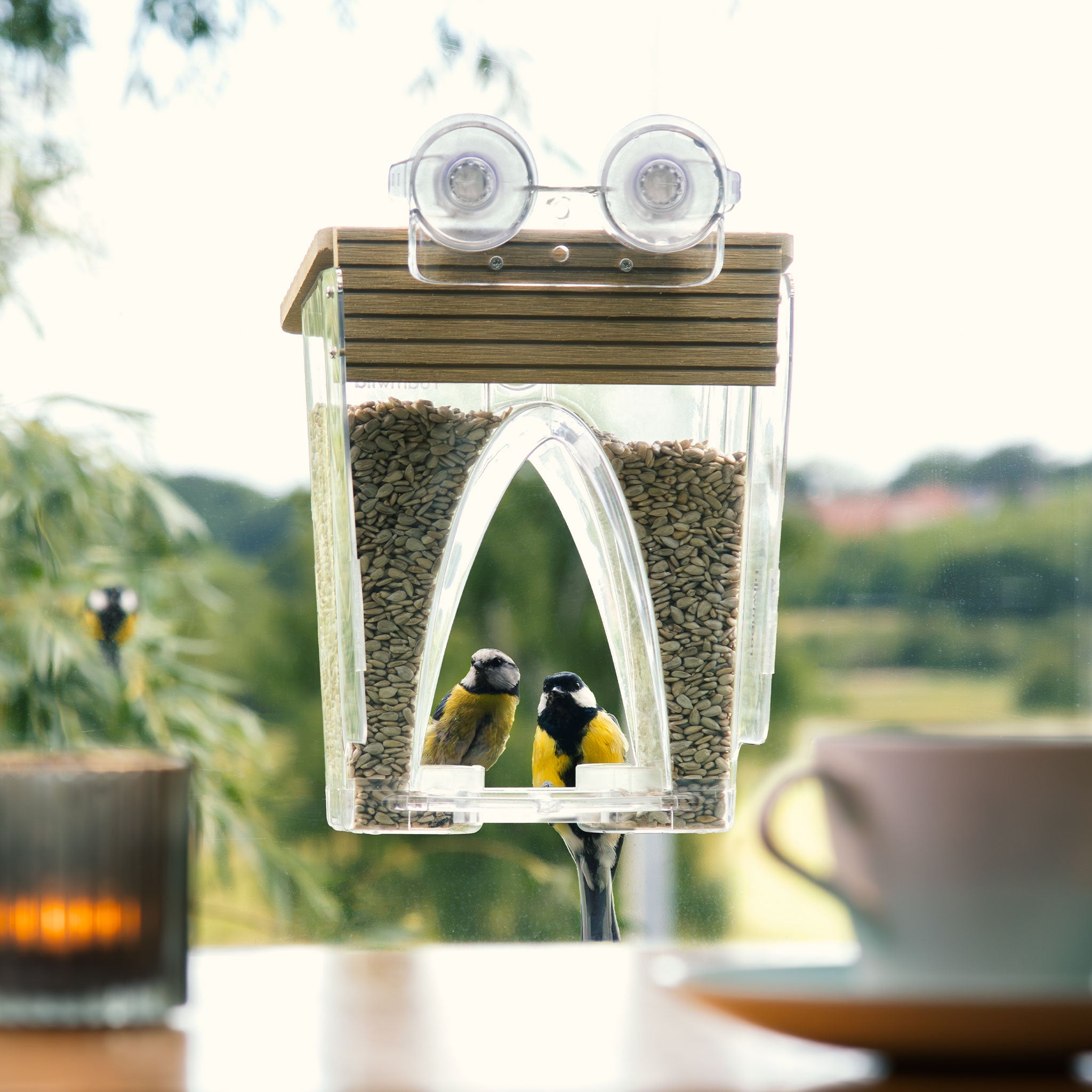 Outdoor Clear View Window Zuignap Vogelvoeder Outdoor Clear View Window Zuignap Vogelvoeder