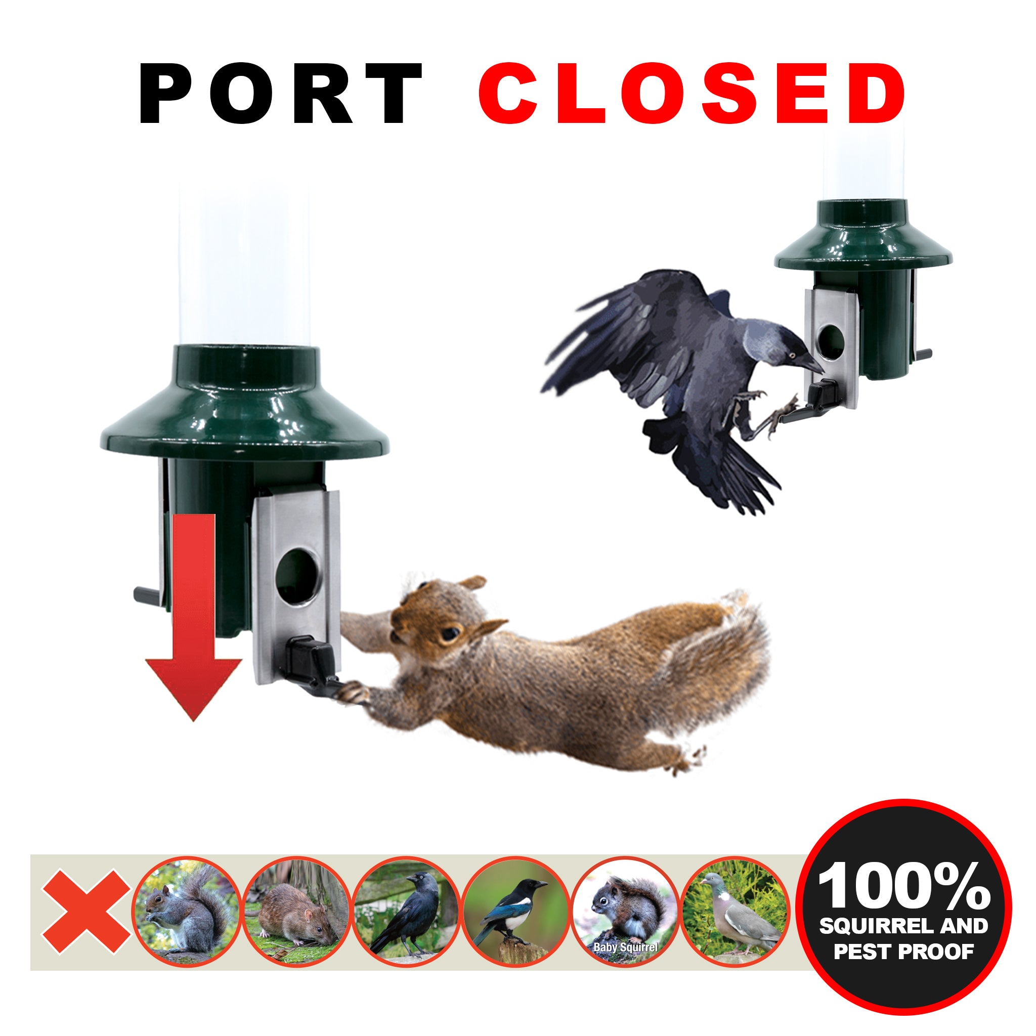 Roamwild PestOff Squirrel Proof Bird Feeder - Compact