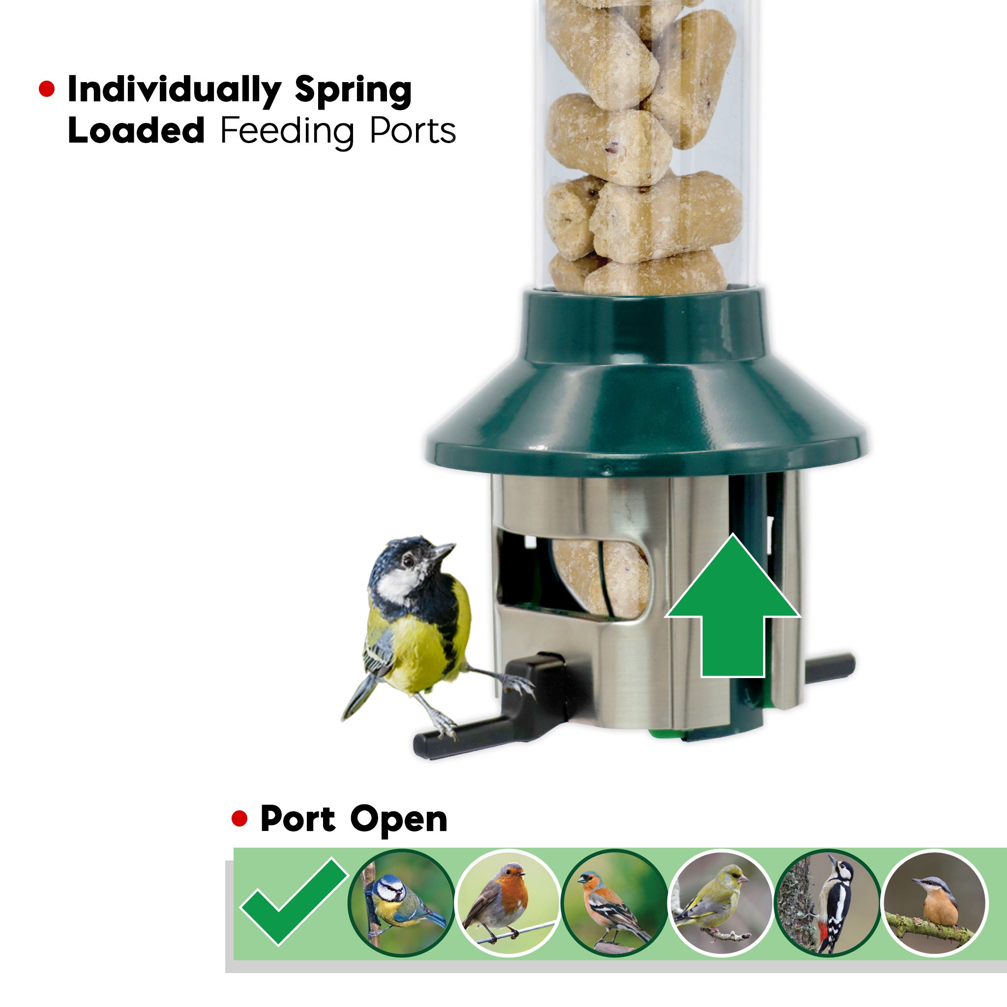 Roamwild PestOff Bird Feeder For Suet Nuggets/Fat Balls