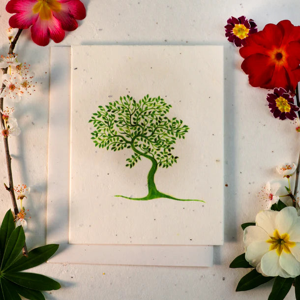 Plantable Seeded Greeting Cards