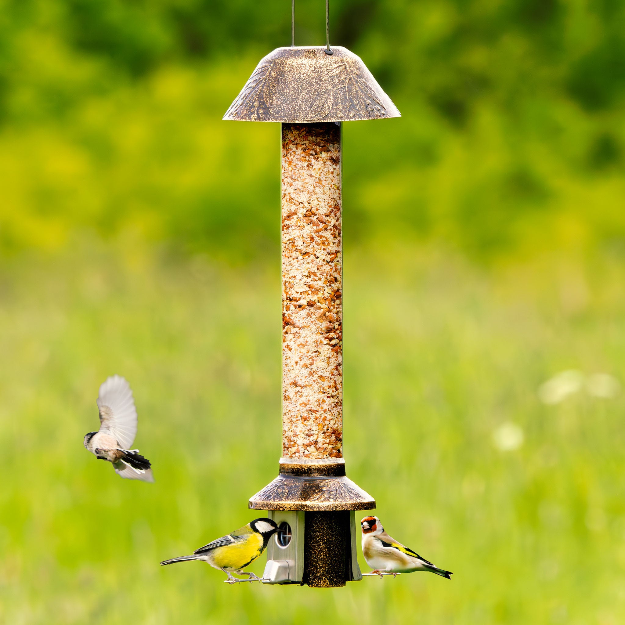 Roamwild PestOff Eekhoornbestendige Vogelvoederbak 2.0 | Antiek Goud Voor Gemengde Zaden/Zonnebloemharten