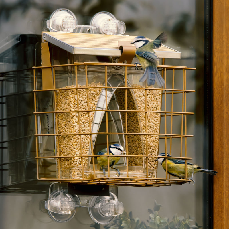 Arch Window Feeder: accessoire voor eekhoornbestendige kooi