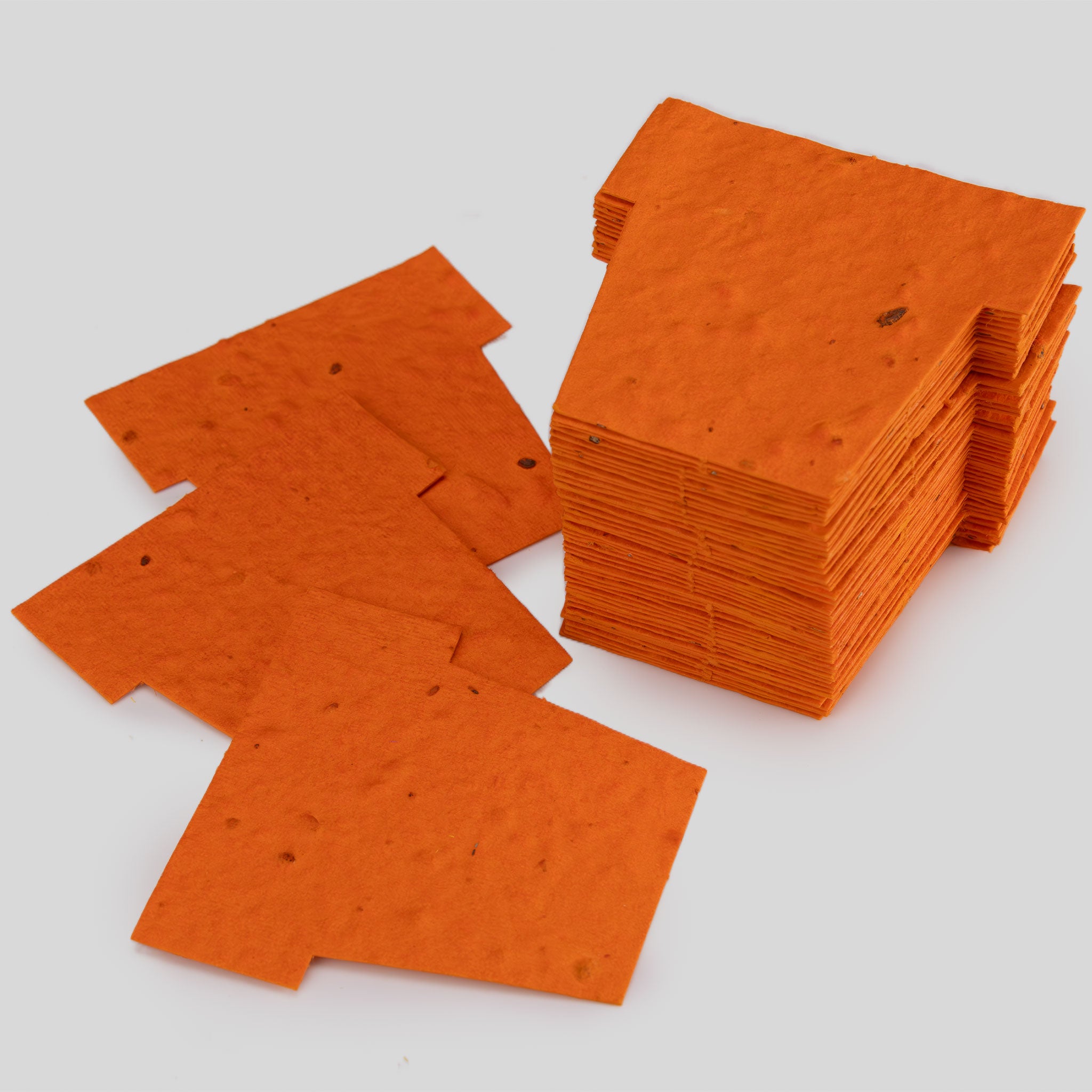 Roamwild Seeded Paper Shapes - Pack Of 50 (Orange Pot)