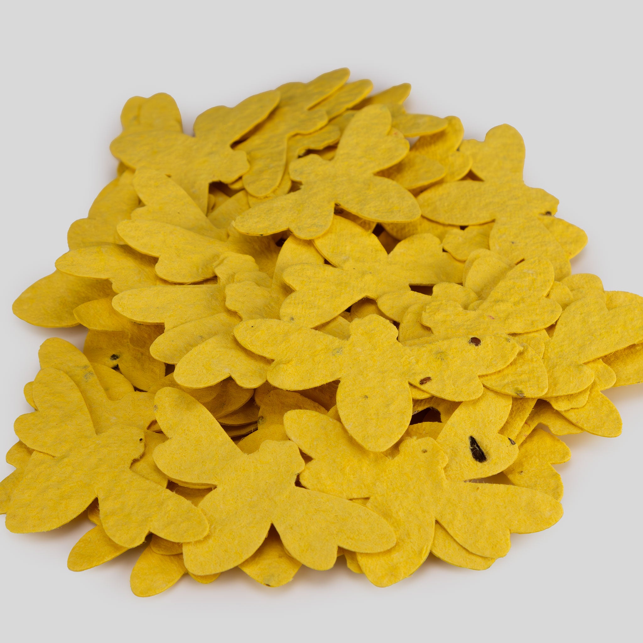 Roamwild Seeded Paper Shapes - Pack Of 50 (Bee)