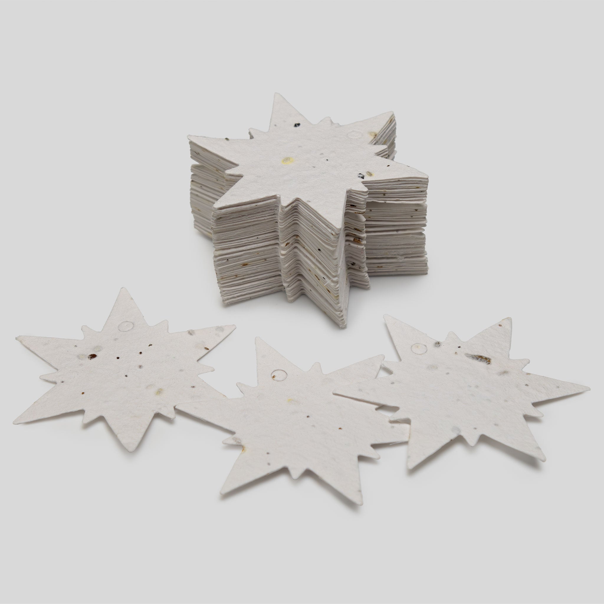 Roamwild Seeded Paper Shapes - (Snowflake)