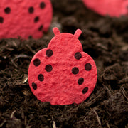 Roamwild Seeded Paper Shapes - Pack Of 100 (Ladybird)