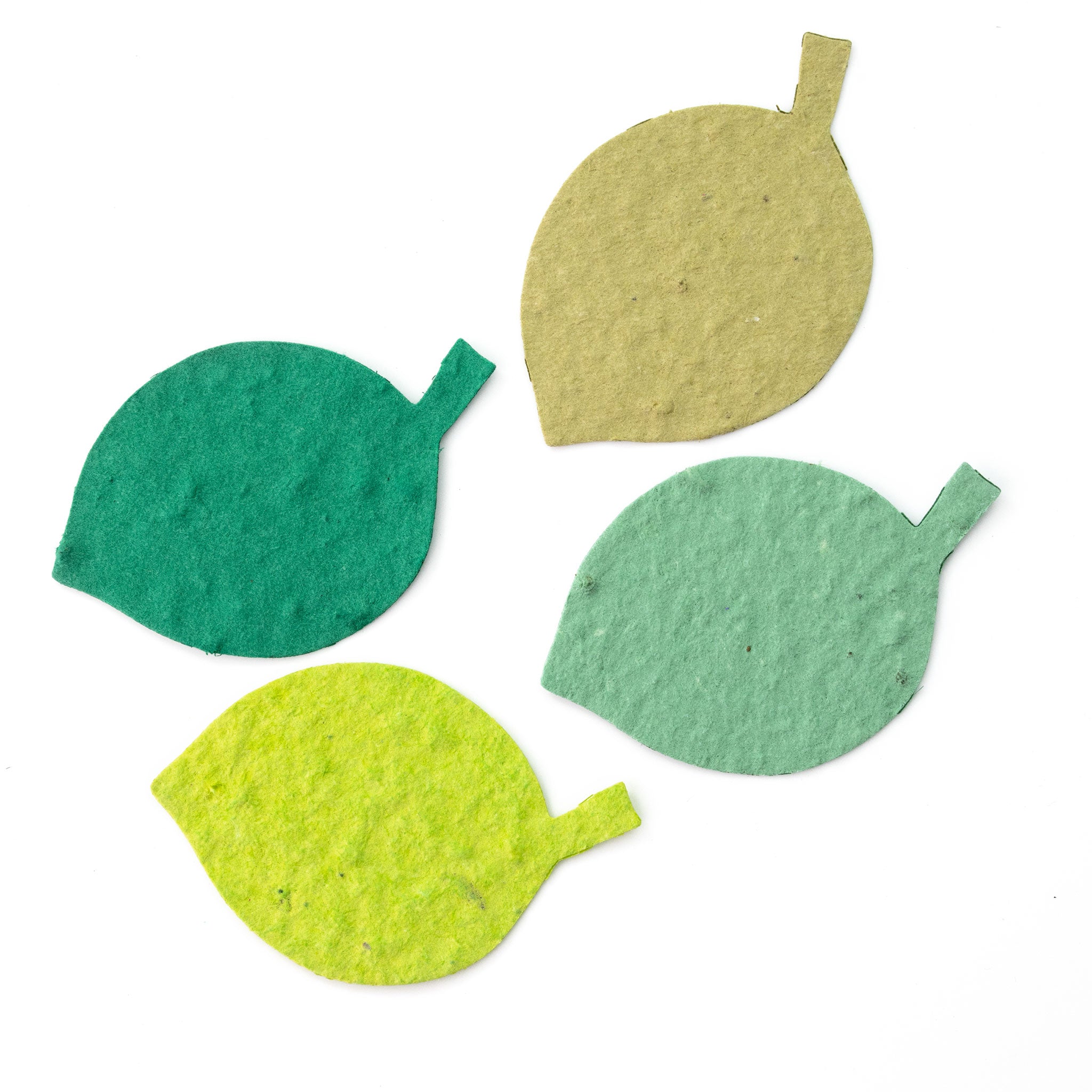 Roamwild Seeded Paper Shapes - Pack Of 100 (Beech Leaf)