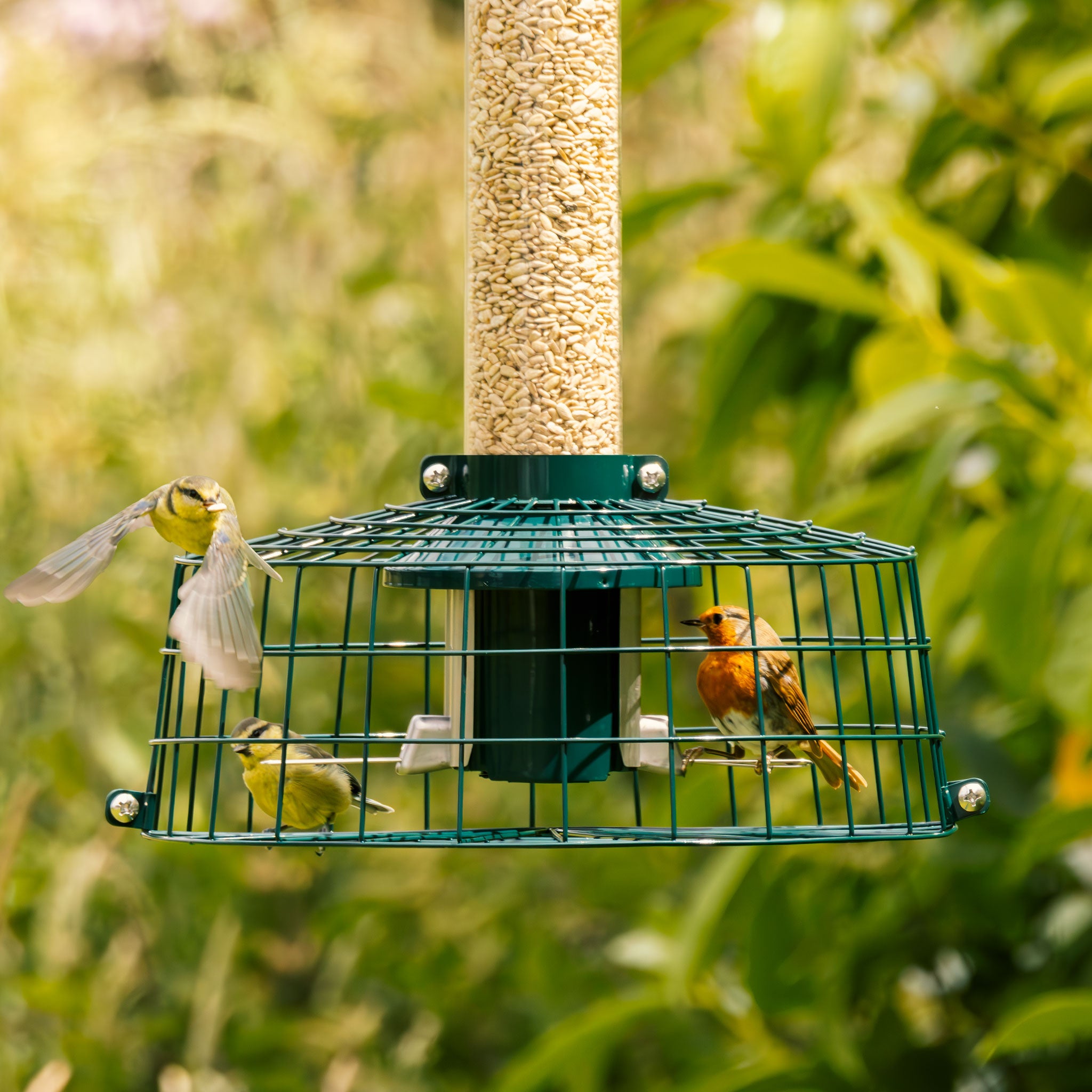 Roamwild PestOff Starling Proof Cage Accessory