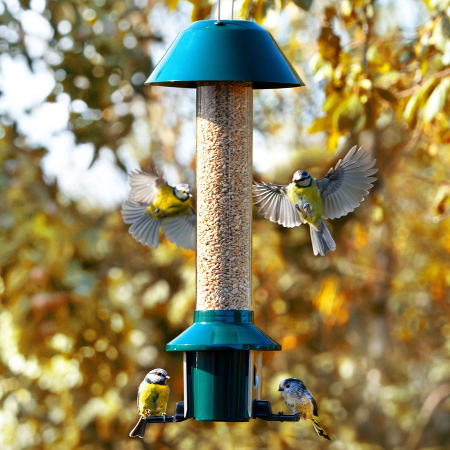 Roamwild PestOff Eekhoornbestendige Voederbak voor Vogels - Compact