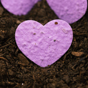 Roamwild Seeded Paper Shapes - Pack Of 50 (Violet Heart)