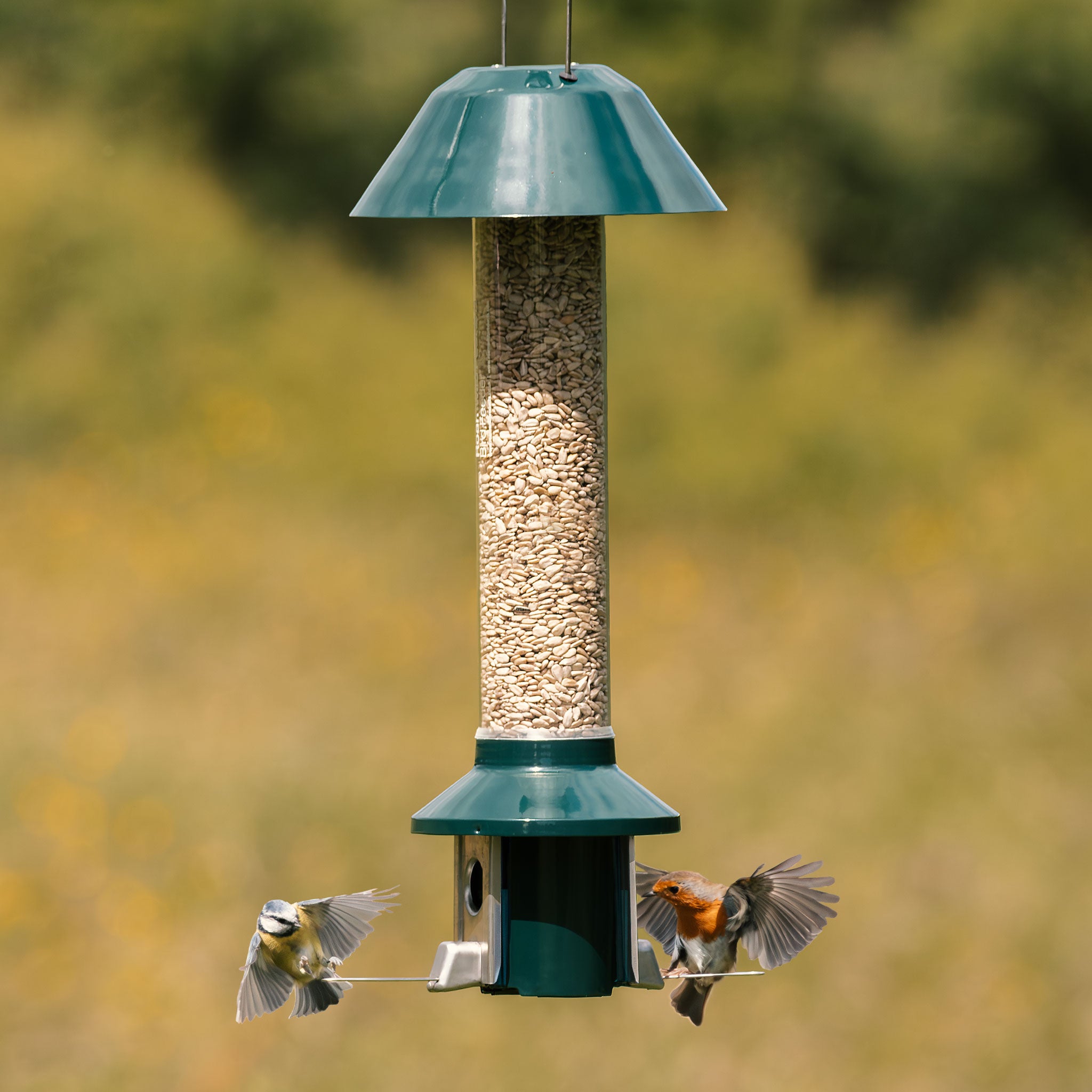 Roamwild PestOff Squirrel Proof Bird Feeder - Compact