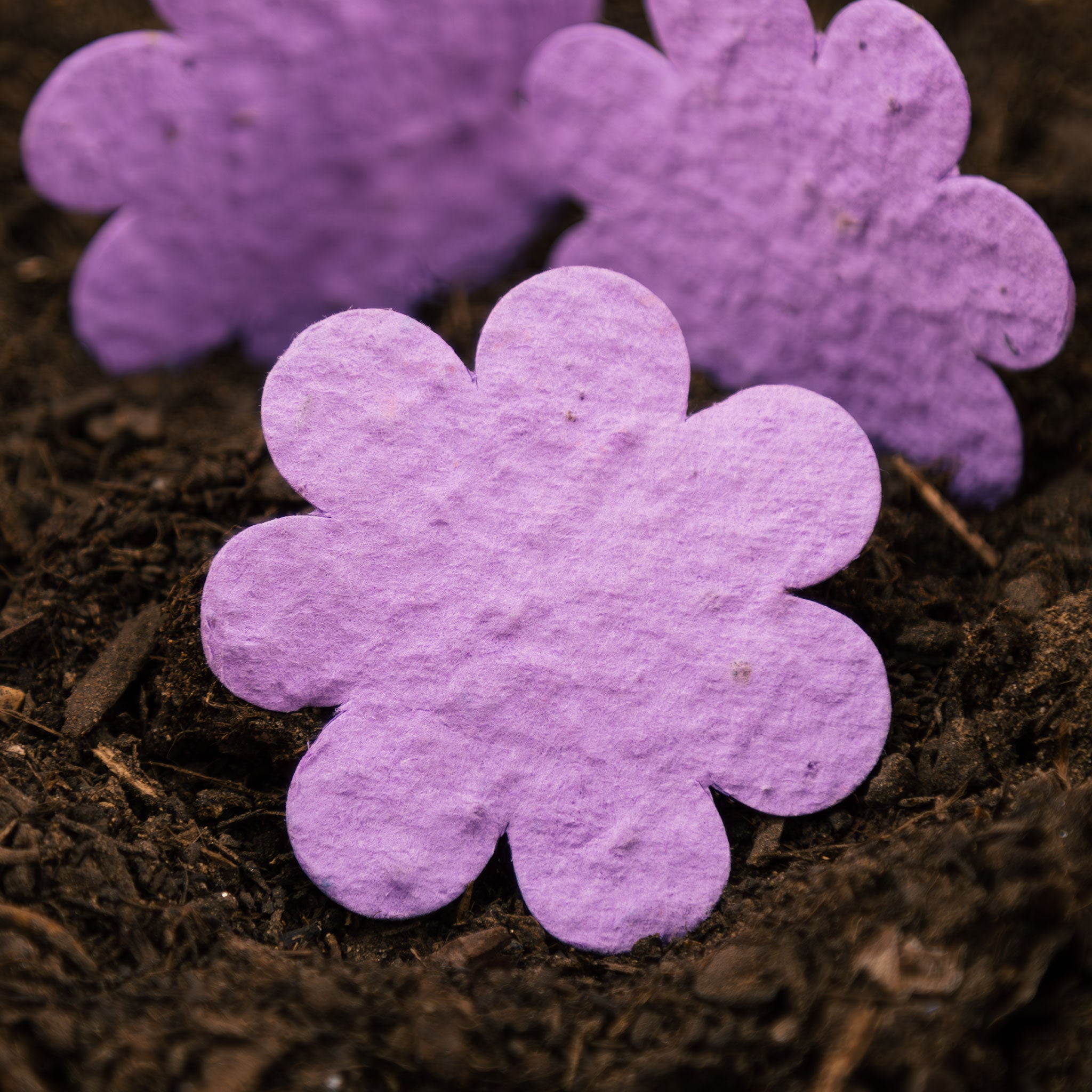 Roamwild Seeded Paper Shapes - Pack Of 50 (Violet Flower)