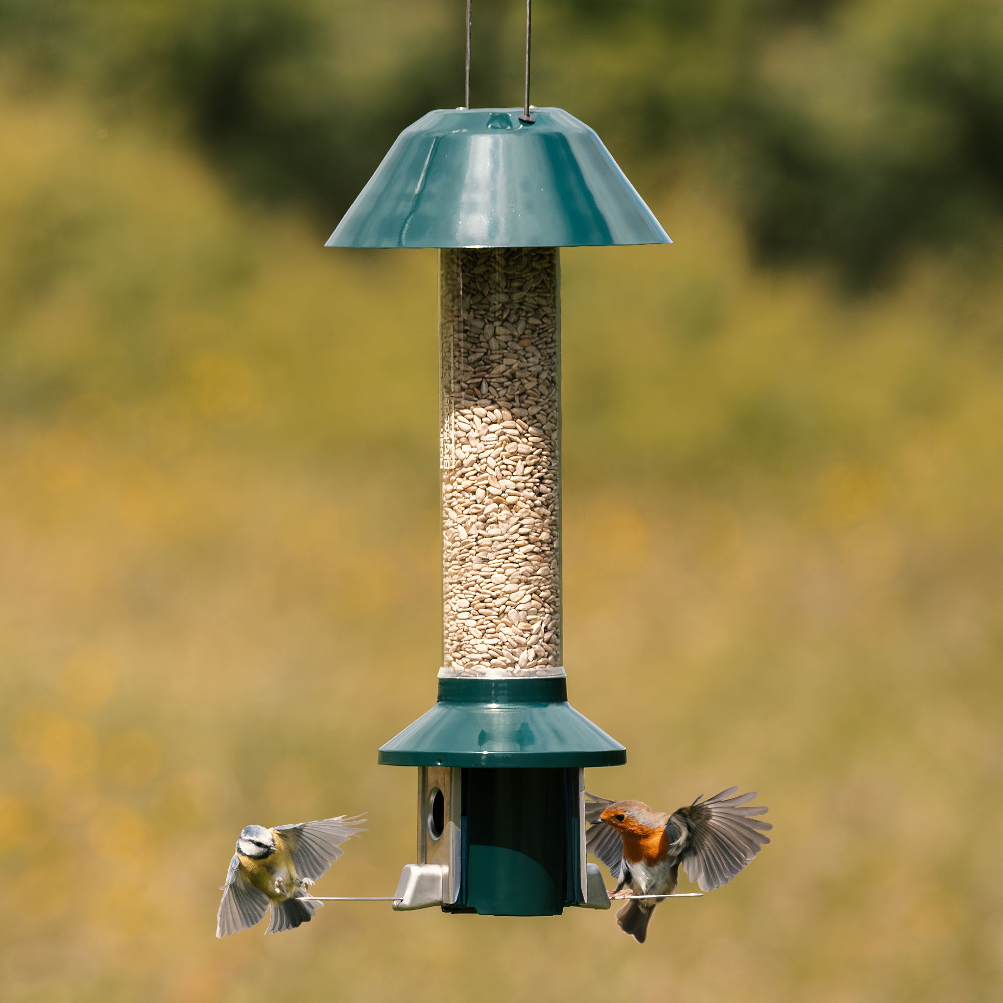 Roamwild PestOff Eekhoornbestendige Voederbak voor Vogels - Compact