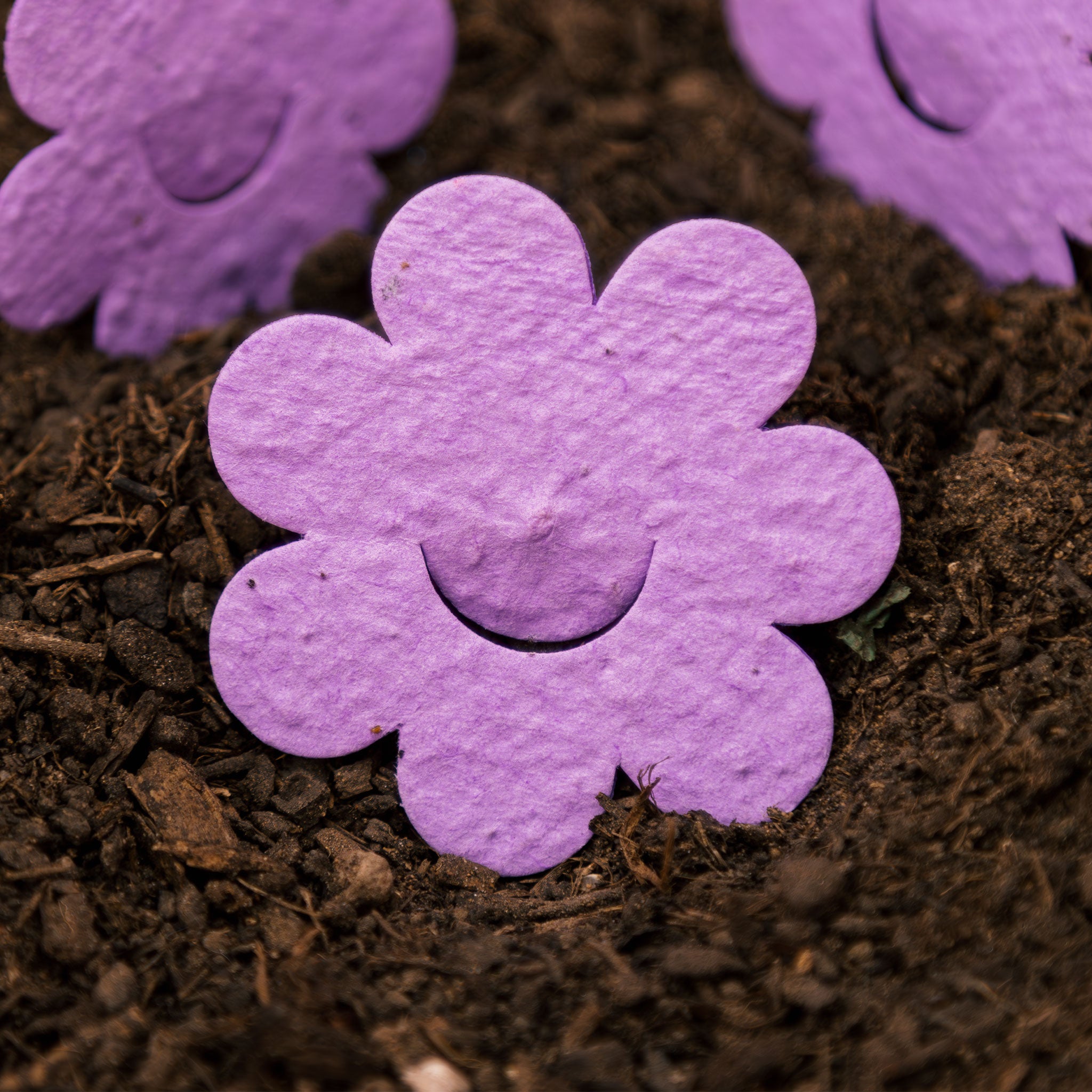 Roamwild Seeded Paper Shapes - Pack Of 50 (Violet Flower)