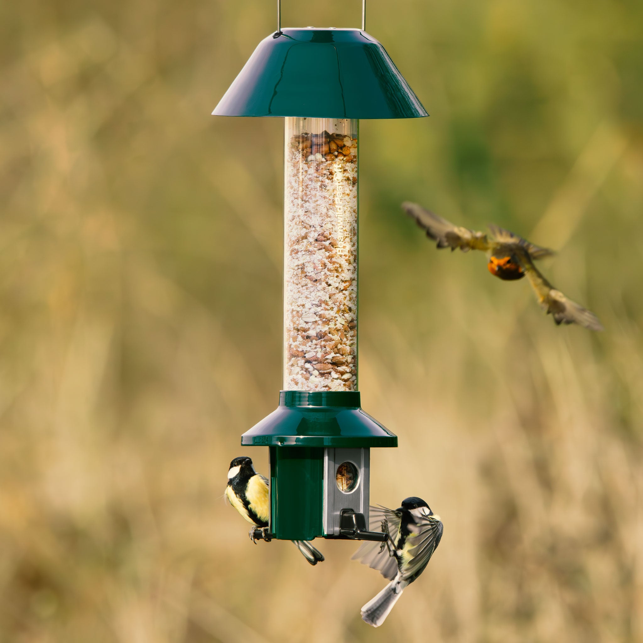 Roamwild PestOff Eekhoornbestendige Voederbak voor Vogels - Compact