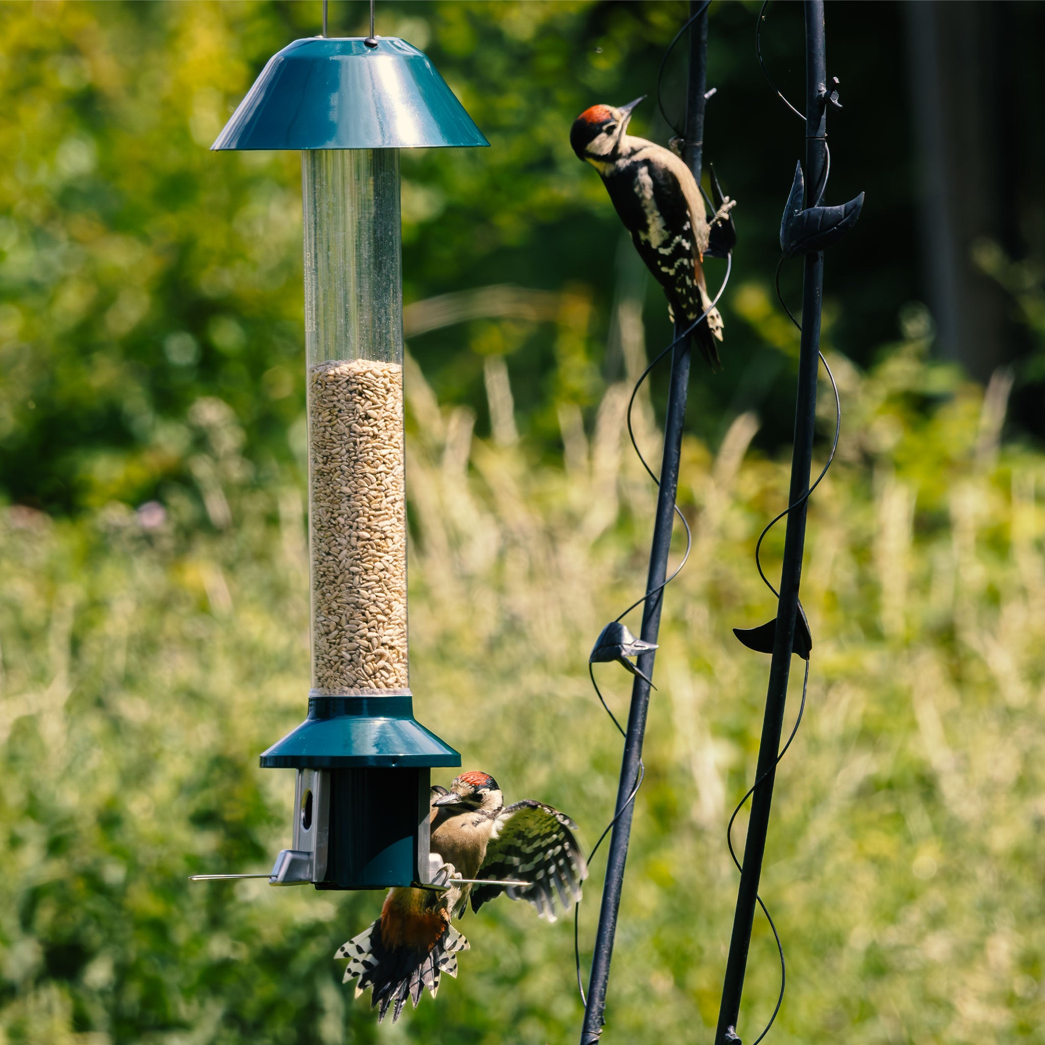 Roamwild PestOff Hartstation