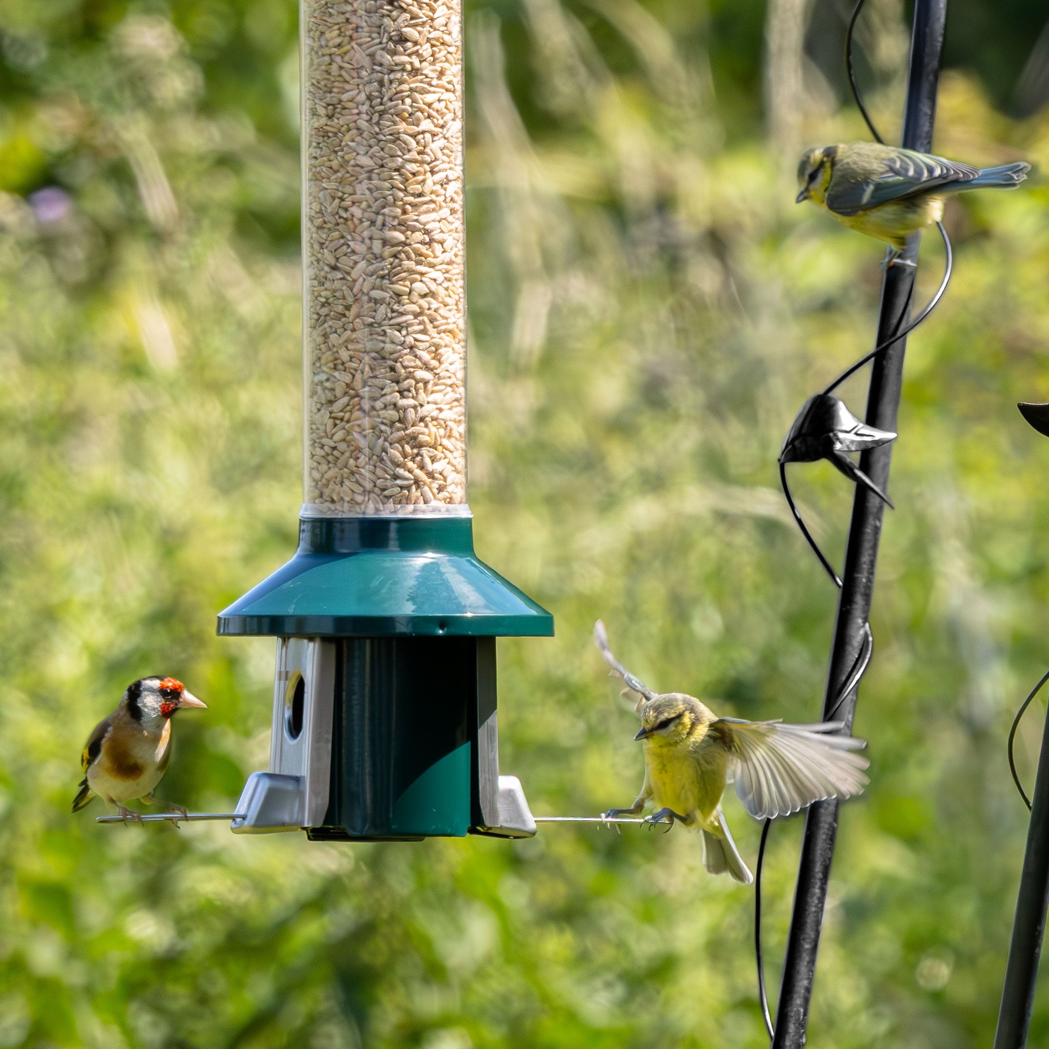 Roamwild PestOff Hartstation