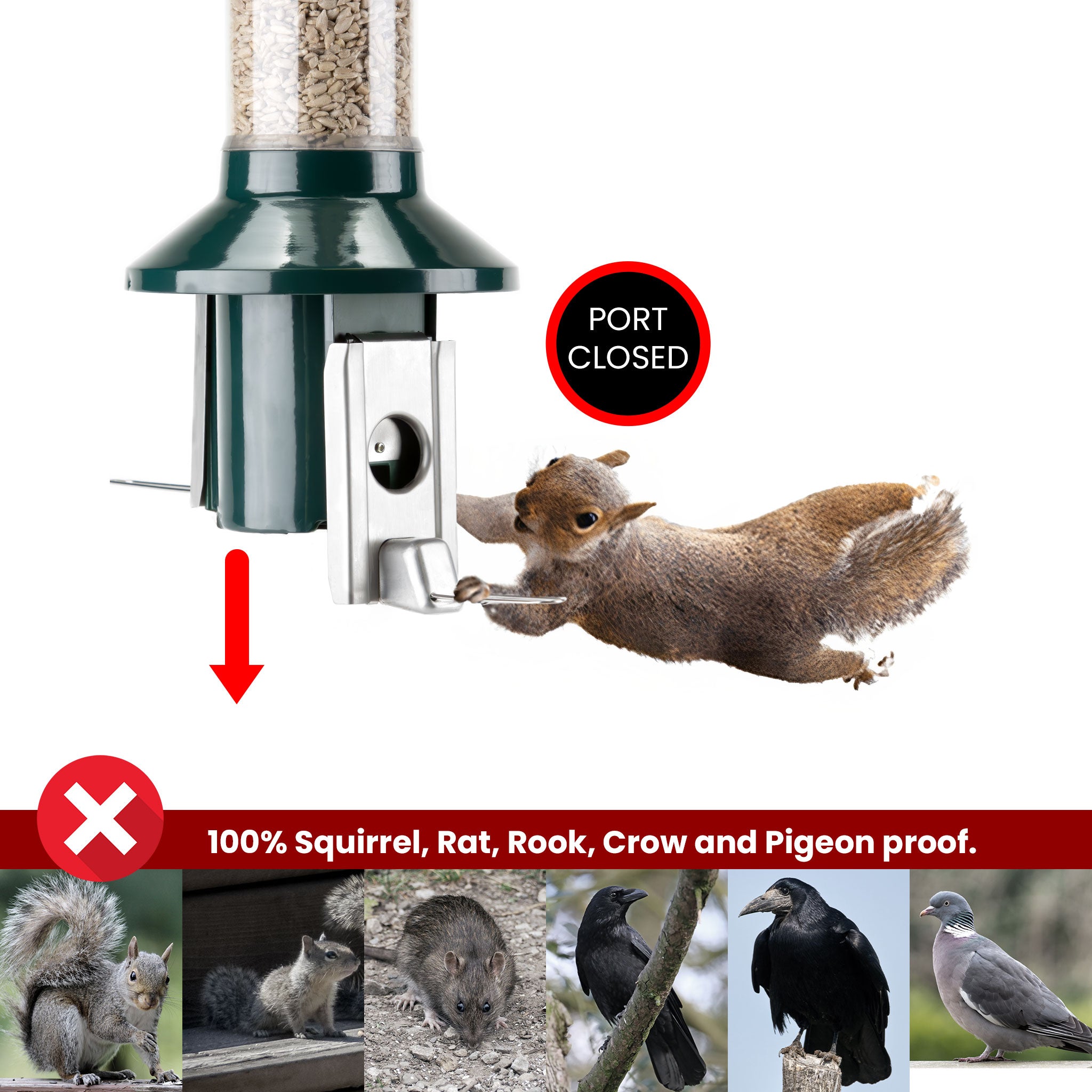 Roamwild PestOff Squirrel Proof Bird Feeder 2.0 For Mixed Seed/Sunflower Hearts