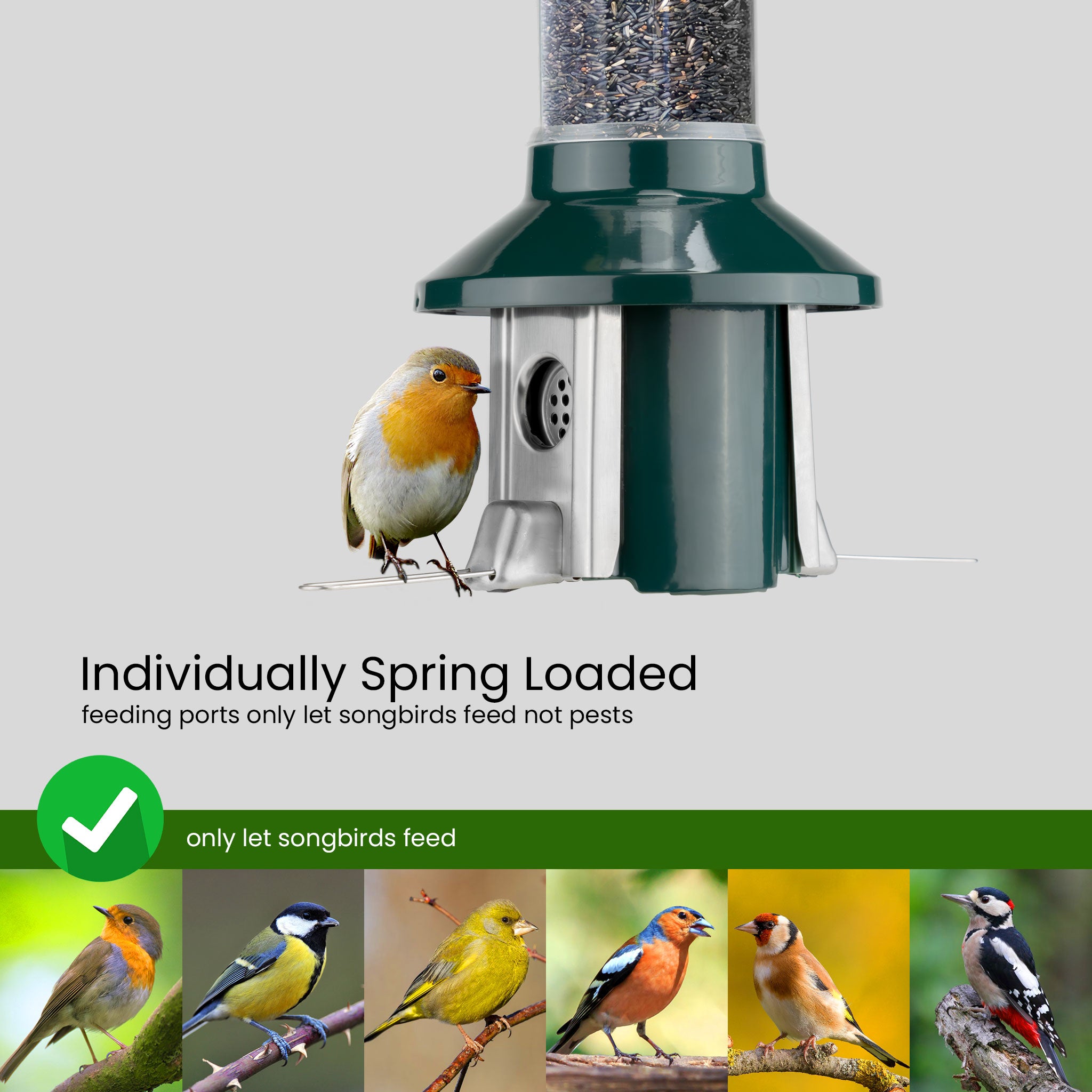 Roamwild PestOff Squirrel Proof Bird Feeder 2.0 For Nyjer/Thistle Seed