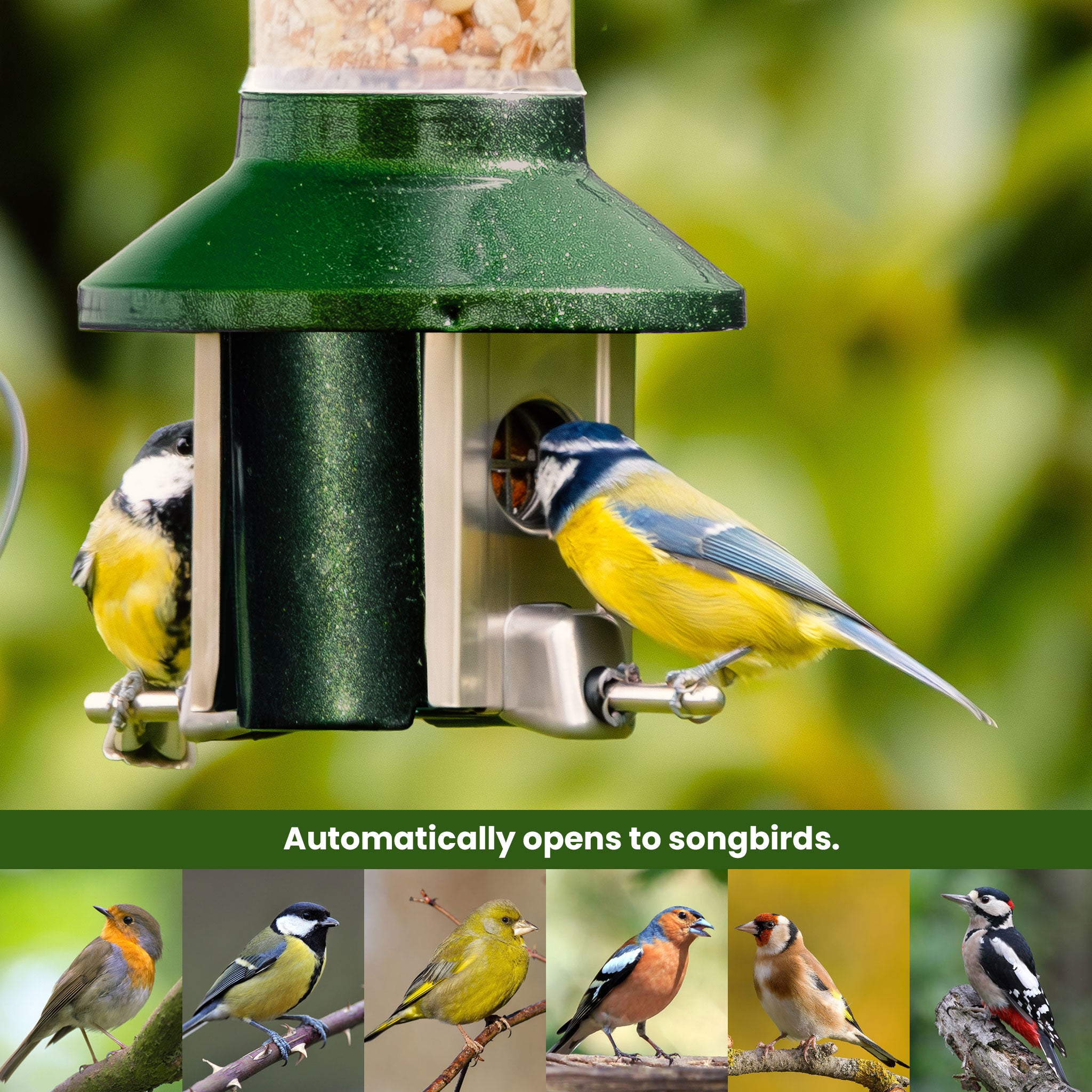 Roamwild PestOff Bird Feeder 3.0