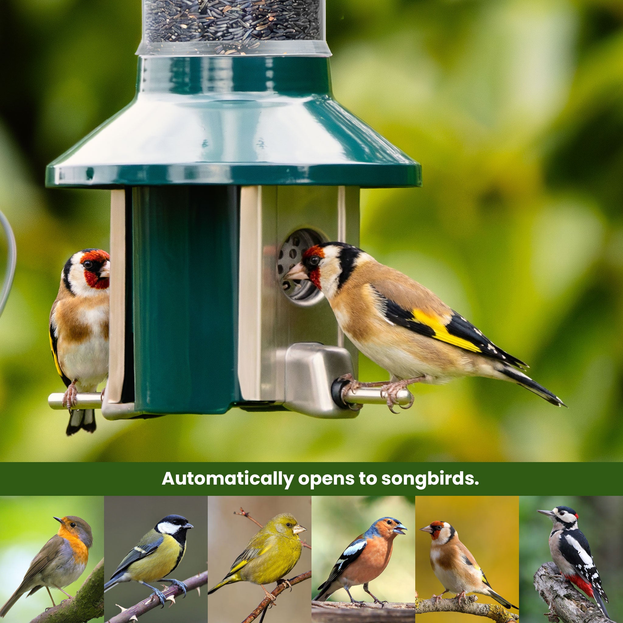 Roamwild PestOff Bird Feeder 3.0