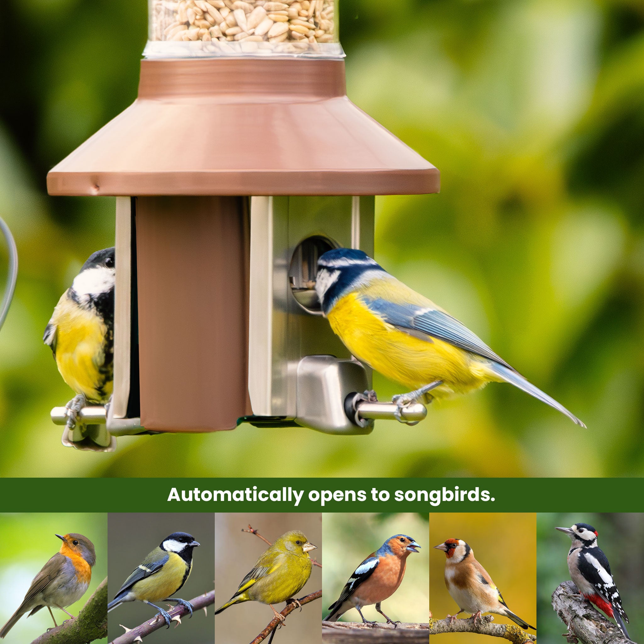 Roamwild PestOff Bird Feeder 3.0