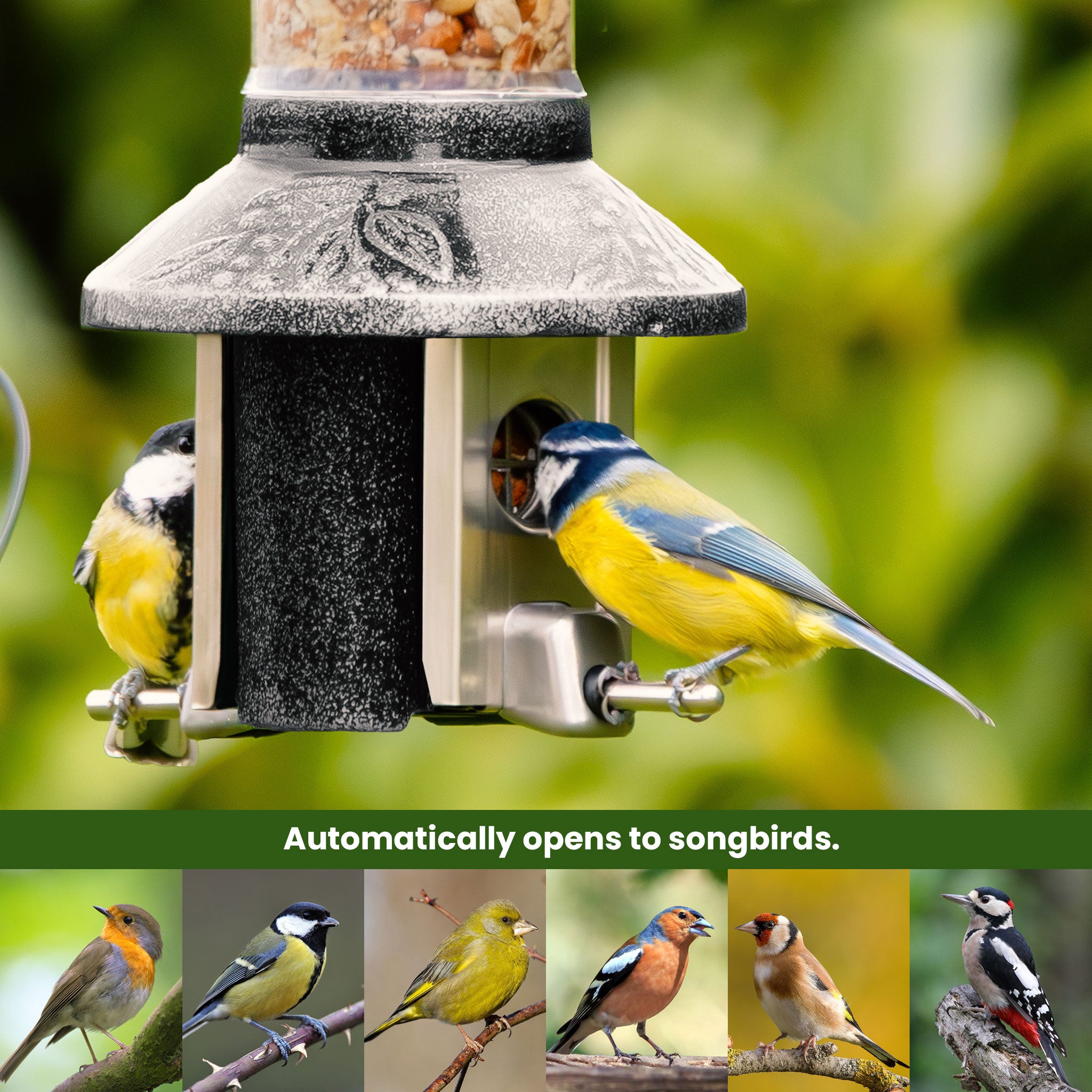 Roamwild PestOff Bird Feeder 3.0