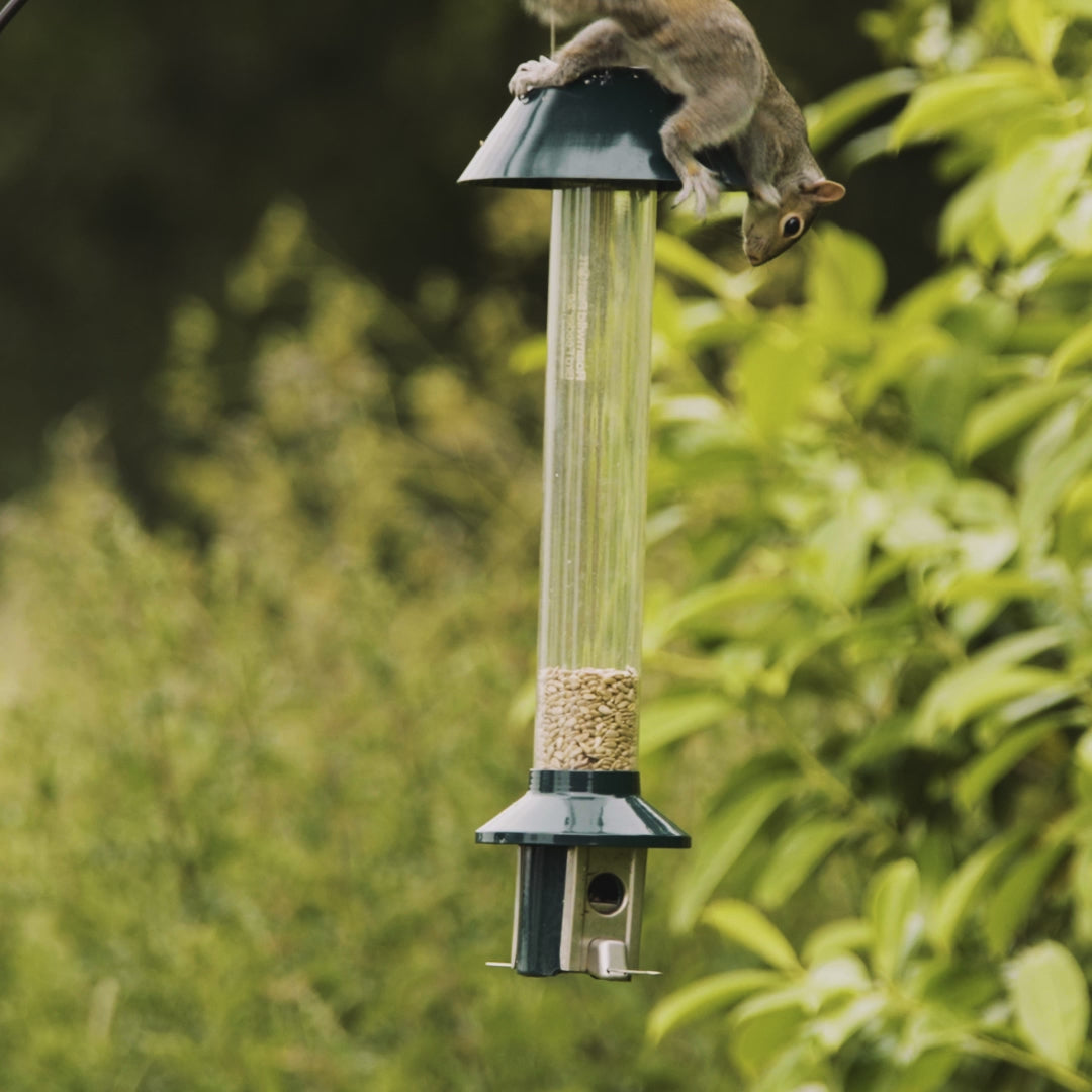 Load video: Roamwild PestOff Squirrel Proof Bird Feeder 2.0 For Mixed Seed/Sunflower Hearts