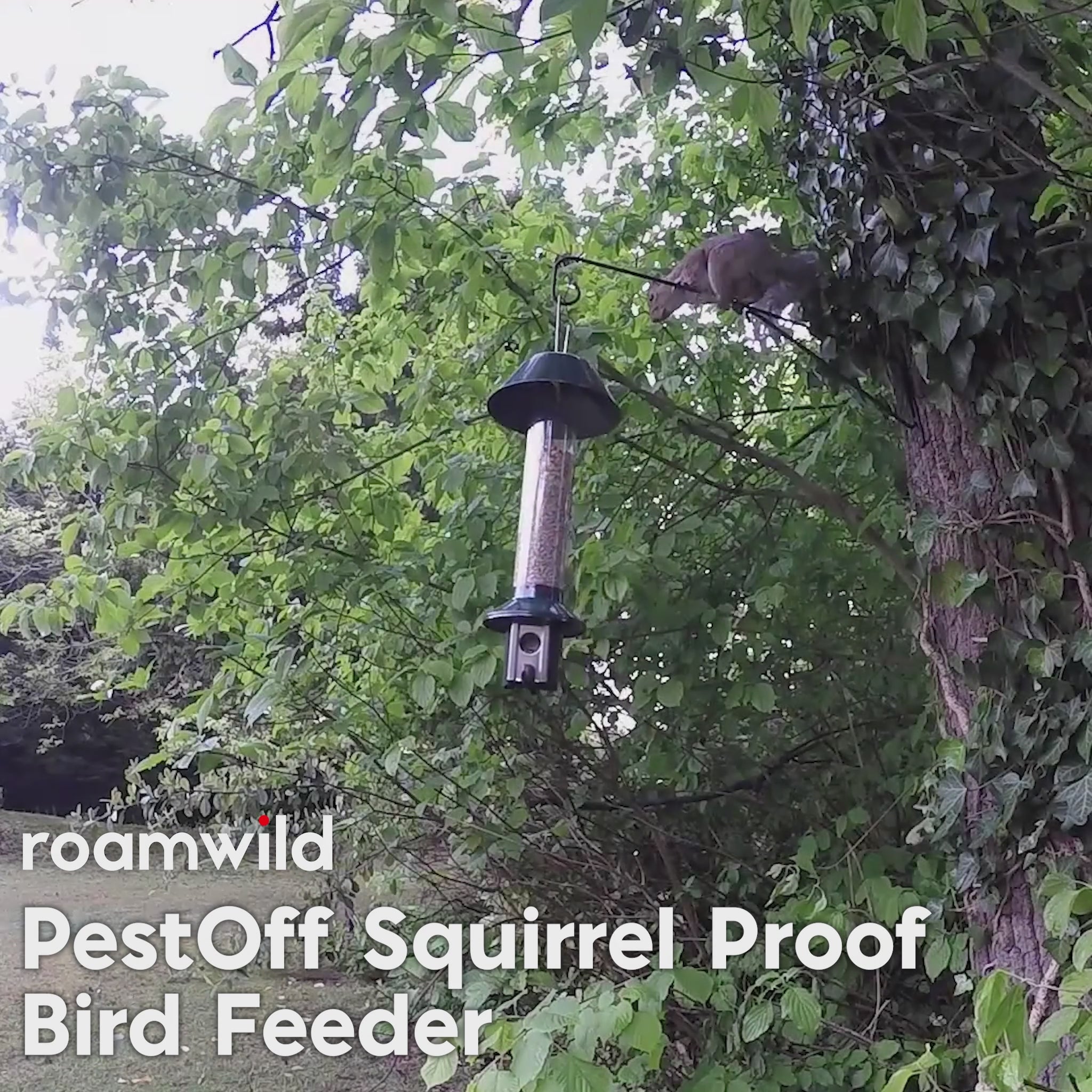 Load video: Roamwild PestOff Squirrel Proof Bird Feeder - Compact