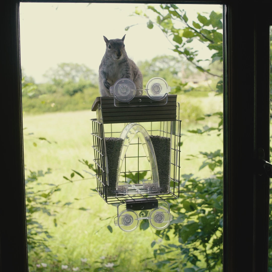 Load video: Arch Window Feeder: Squirrel Proof Cage Accessory