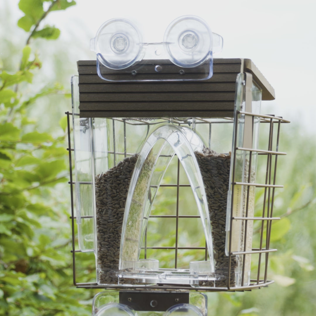 Load video: Arch Window Feeder: Squirrel Proof Cage Accessory