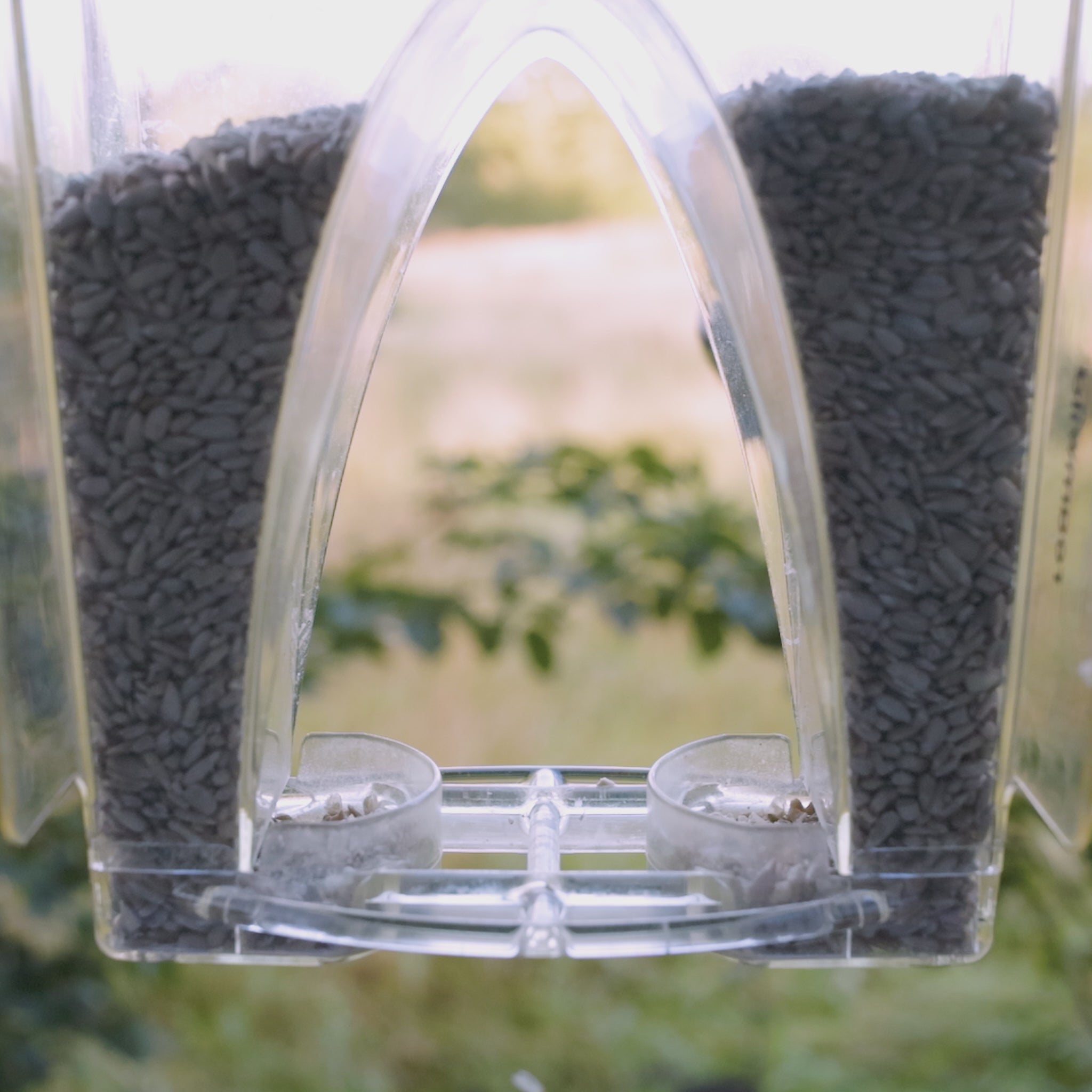 Load video: Roamwild Arch Window Bird Feeder