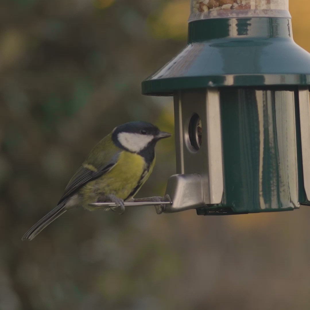 Load video: Roamwild PestOff Squirrel Proof Bird Feeder 2.0 For Peanut/Mealworms