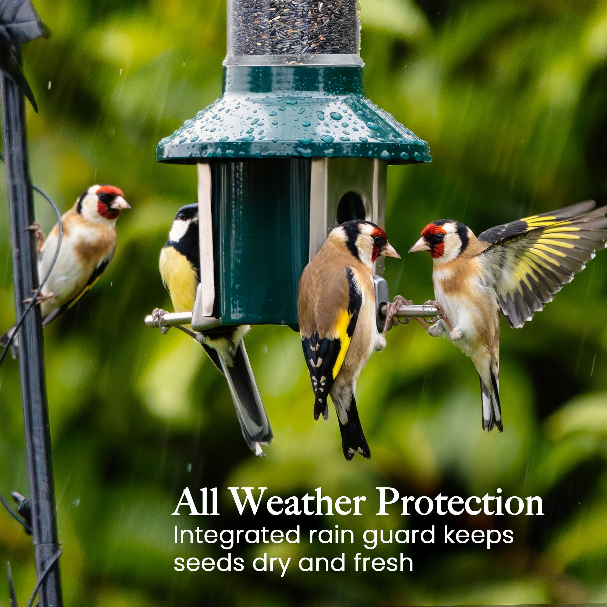 Roamwild PestOff Bird Feeder 3.0