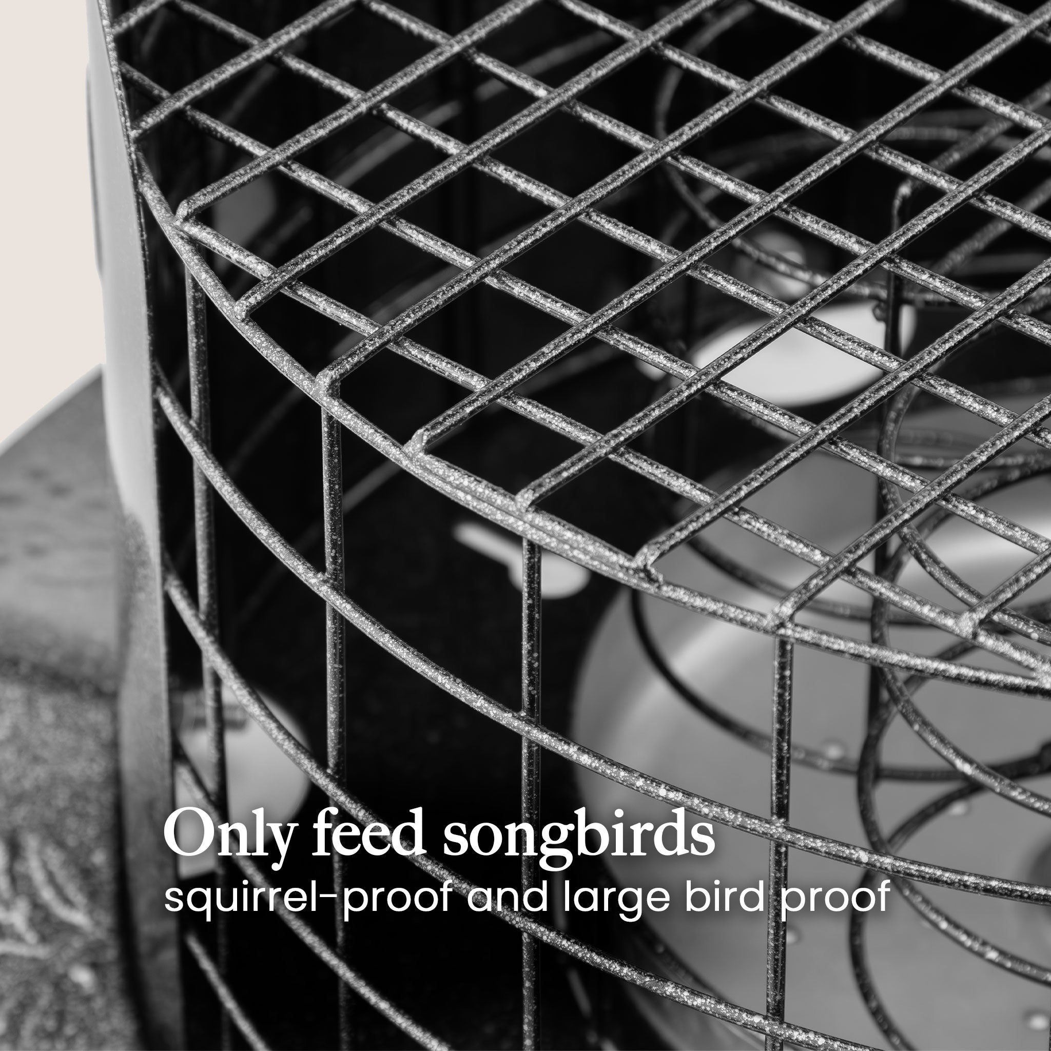 Roamwild PestOff Bird Butter Feeder