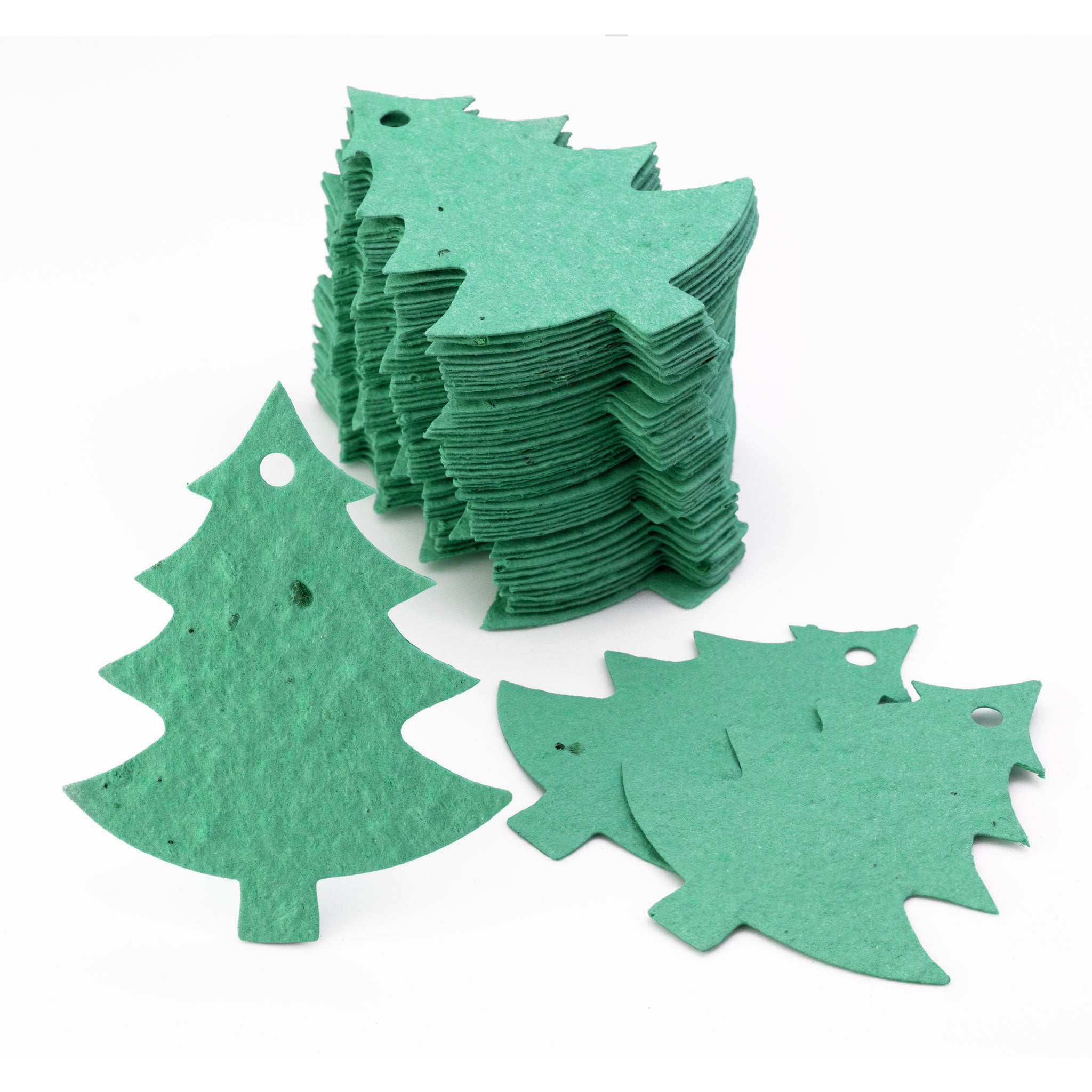 Roamwild Seeded Paper Shapes - (Christmas Tree)