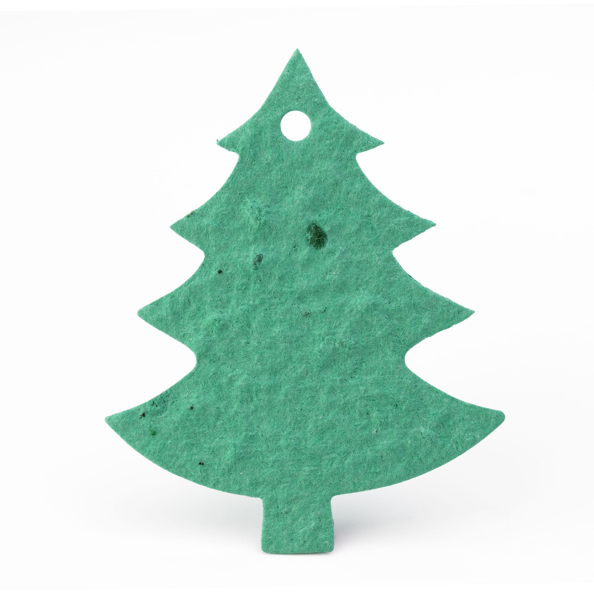 Roamwild Seeded Paper Shapes - (Christmas Tree)