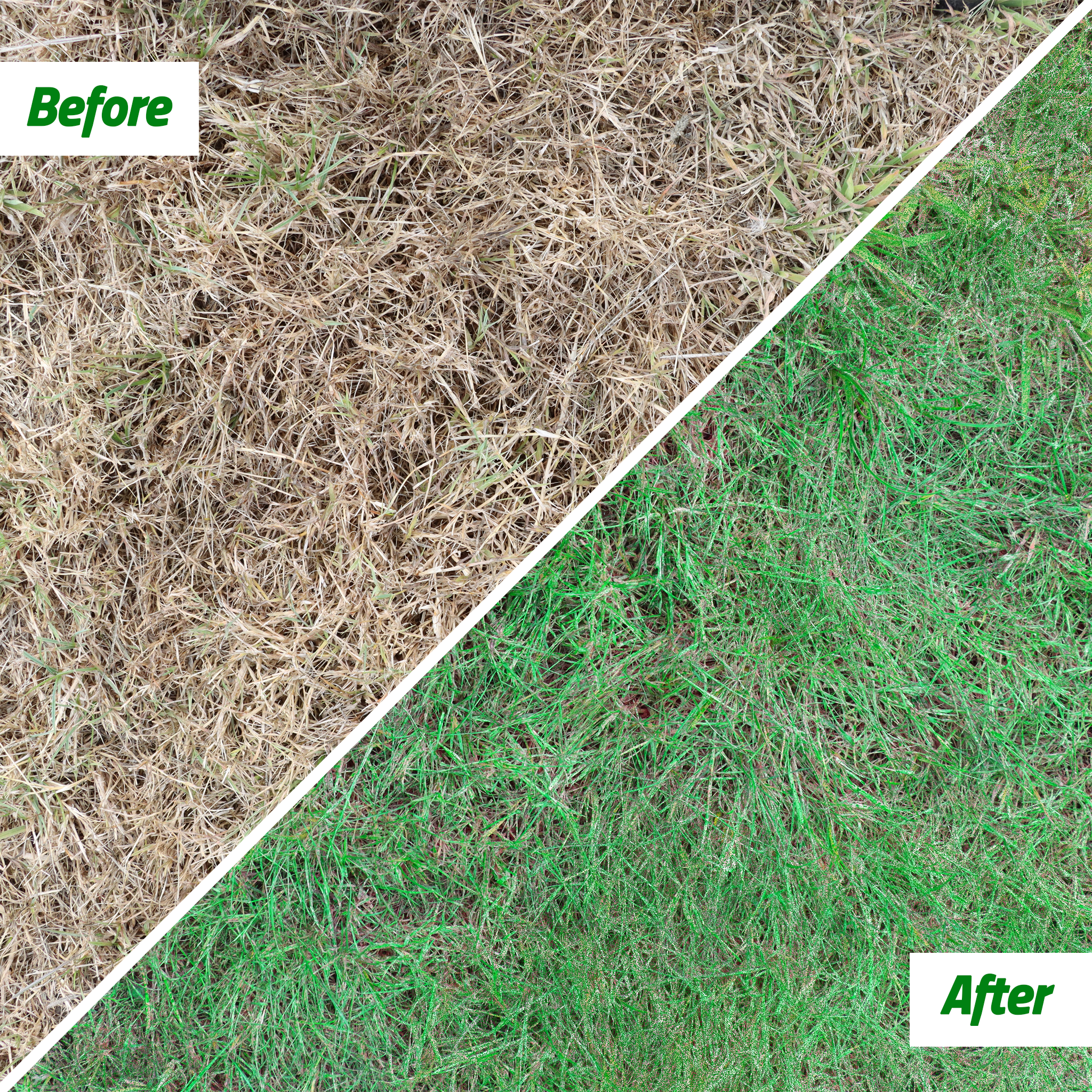 Get it Green Instant Grass Spot & Shrub Repair